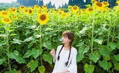 李思思三集A级做爰片